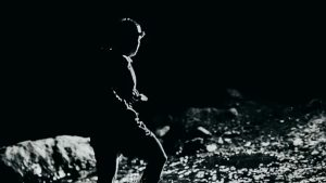 Lee más sobre el artículo Run The Night