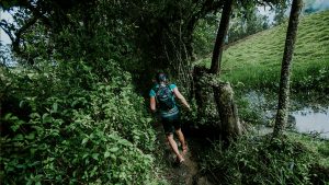 Lee más sobre el artículo Eco Trail